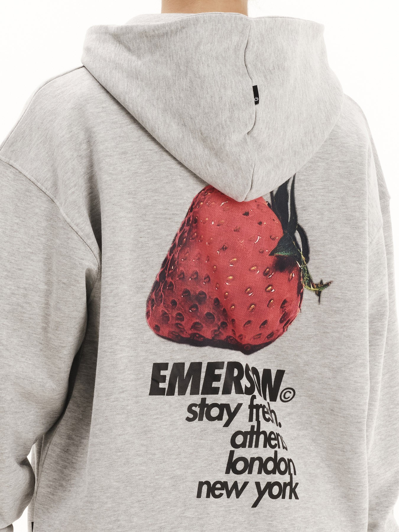 Emerson Γυναικείο Φούτερ Strawberry 252.EW20.24 Grey/ML - Image 7