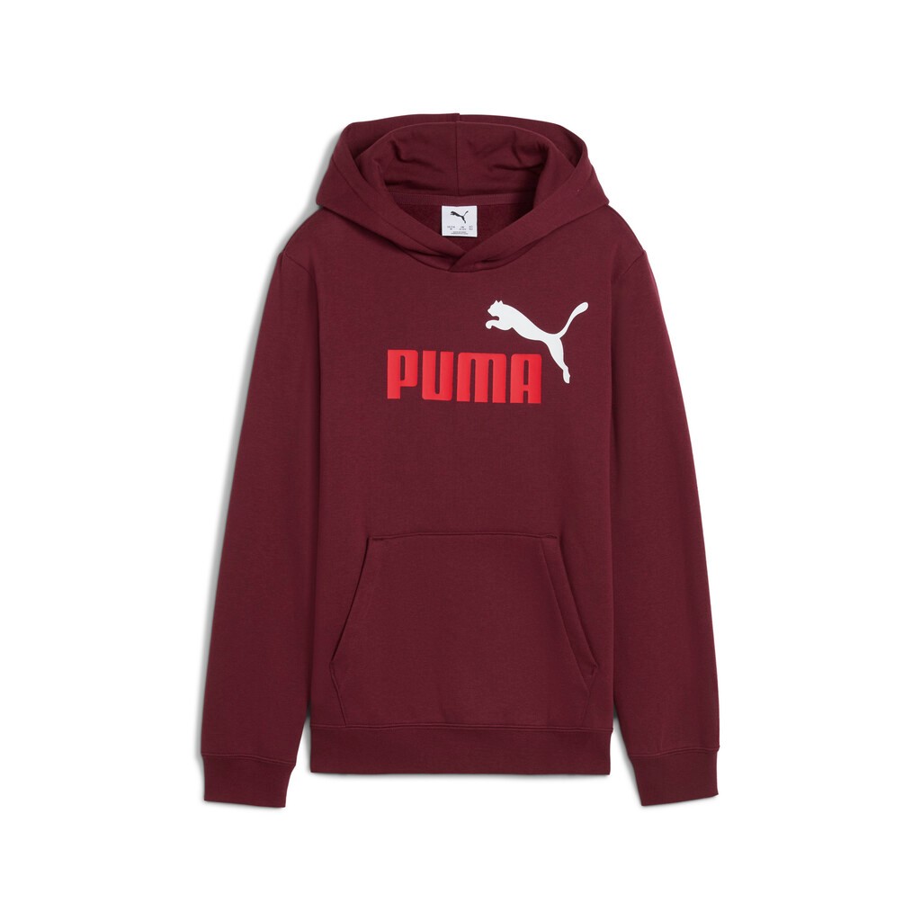 Puma Boy's Essentials 2 Color No1 Logo Fleece Hoodie 685822-96