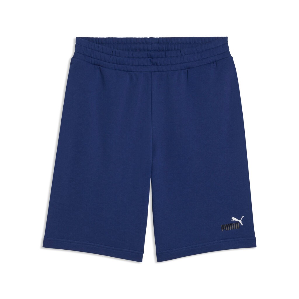 Puma ESS 2 Color No.1 Logo Shorts 684715-49